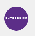 Лицензия Macroscop Enterprise