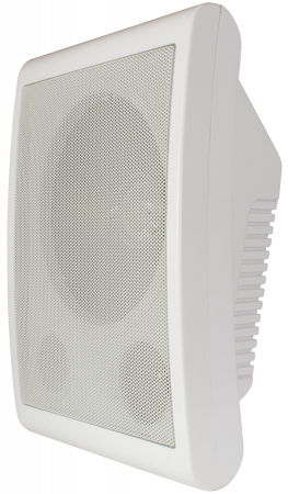 Громкоговоритель TSo-SW6a